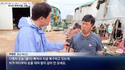 충남 예산 온통 진흙탕…길가엔 주인 잃은 소떼