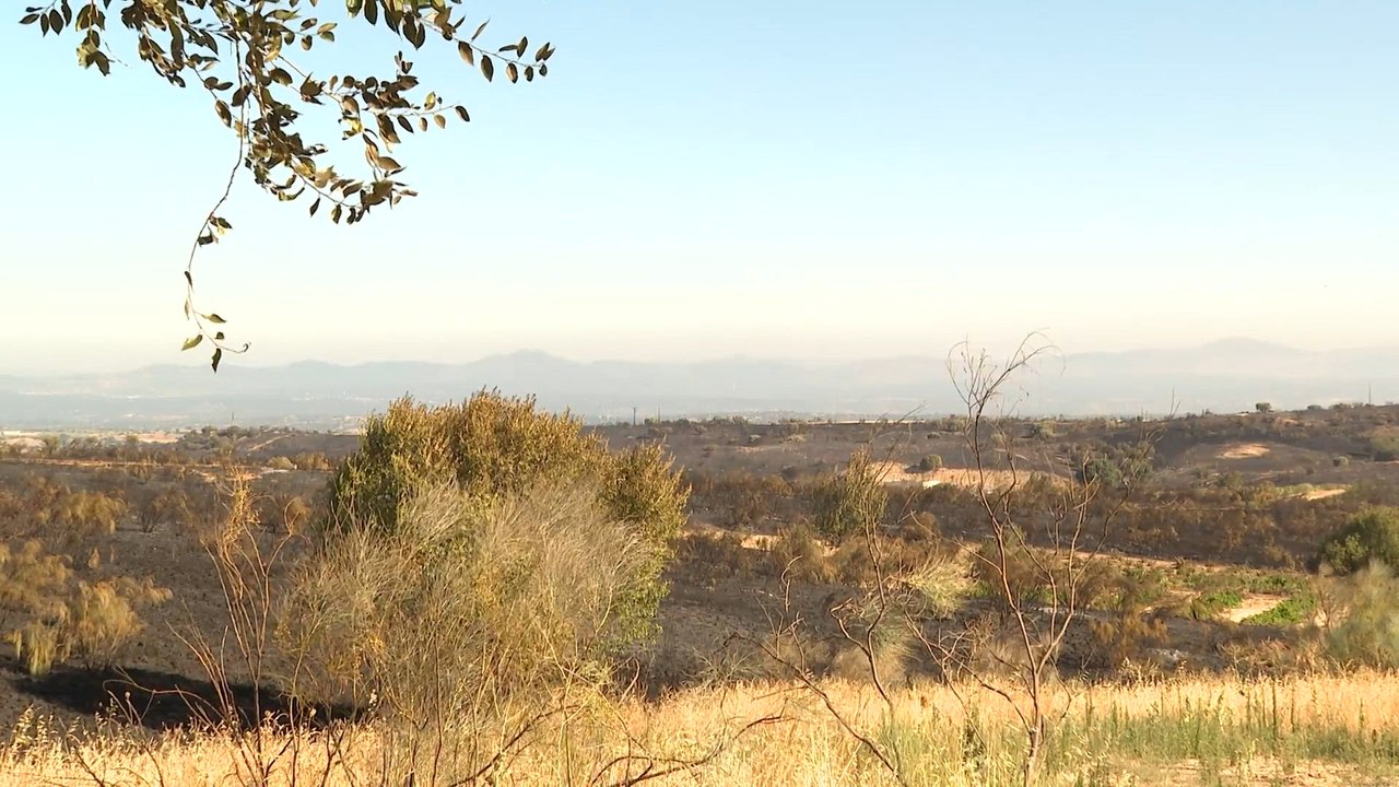 Los bomberos logran perimetrar el incendio de Méntrida