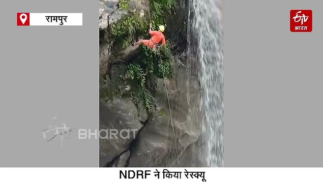 कुत्ते के नाले से बाहर निकलते ही खुशी से झूम उठे लोग, 20 घंटों से कर रहा था मदद का इंतजार