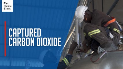 Kenyan start-up generates carbon credits from thin air