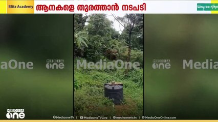വയനാട് പനമരം നെല്ലിയമ്പത്ത്  ജനവാസ മേഖലയിൽ  കാട്ടാന ഇറങ്ങി