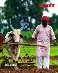 आधी तुफान पासून आठवड्या पासून पाऊस नाही जिल्ह्यातील शेतकरी चिंतेत