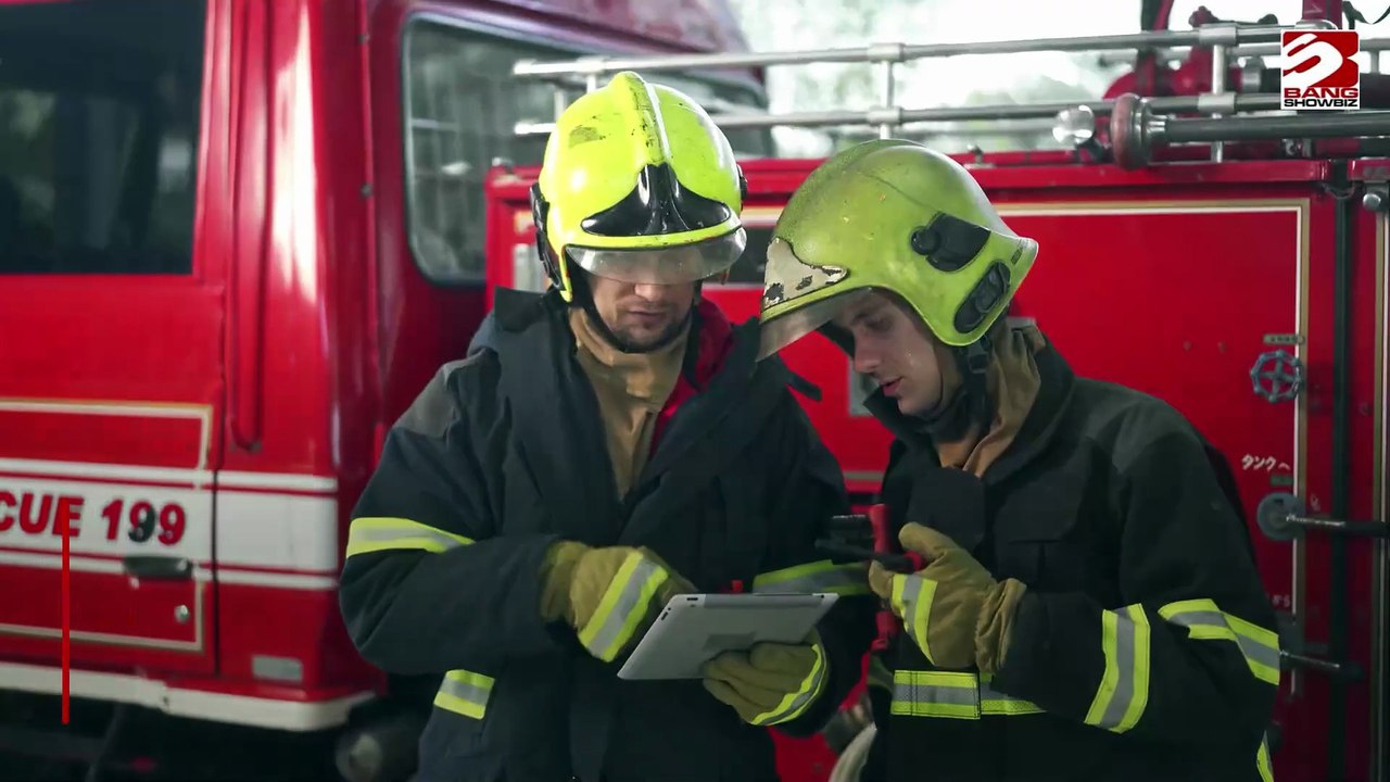 Schildkröte löst Brand in Londoner Wohnung aus