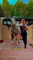 Taal se taal (Western)7#viralvideo #shortvideo