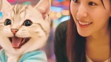 Cute and adorable kittens' daily dating life