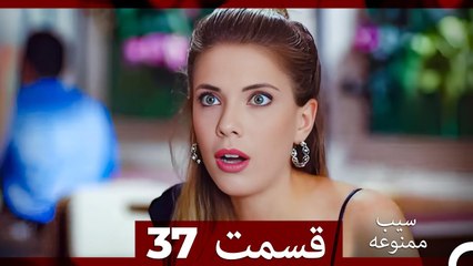 سیب ممنوعه قسمت 37 (Dooble Farsi)