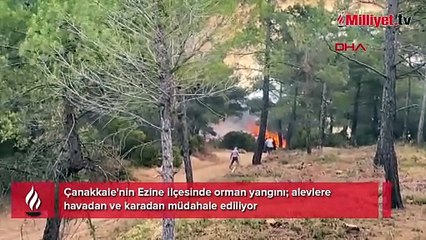 Çanakkale'de orman yangını! Çok sayıda ekip sevk edildi