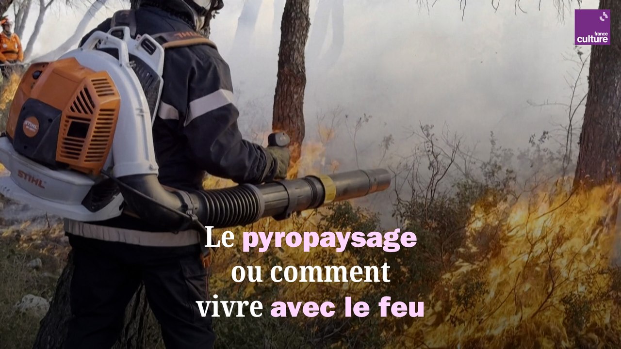 Vivre avec le feu
