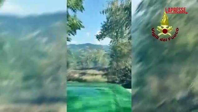 Bologna, incendio nei boschi di Calderino: le operazioni di bonifica dei vigili del fuoco