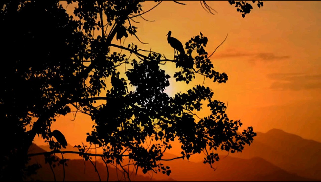 ORACIÓN DE LA MAÑANA: “Al despuntar el alba, me abrazo a tu misericordia.| Viernes 18 de Julio.