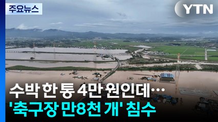 수박 한 통 4만 원인데...'축구장 만8천 개' 침수 / YTN