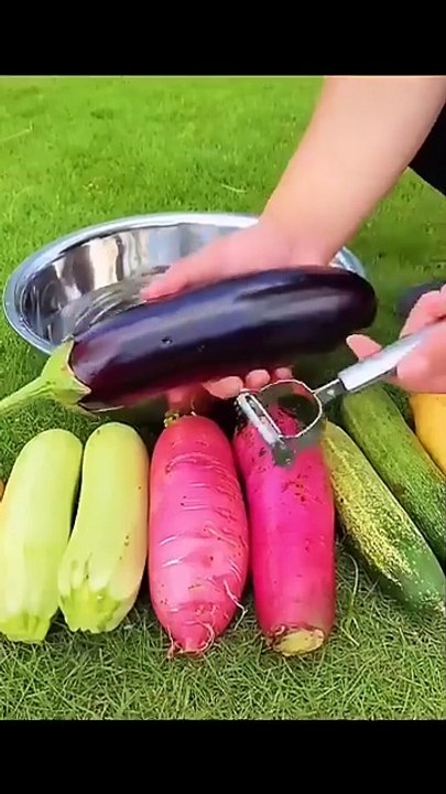 VEGETABLE AND FRUIT PEELER AND SLICER