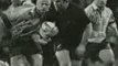 Haka All Blacks Adidas new zealand spot - Rugby Union