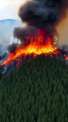 Hell on Earth: Raging Fire Like Hollywood Apocalypse!