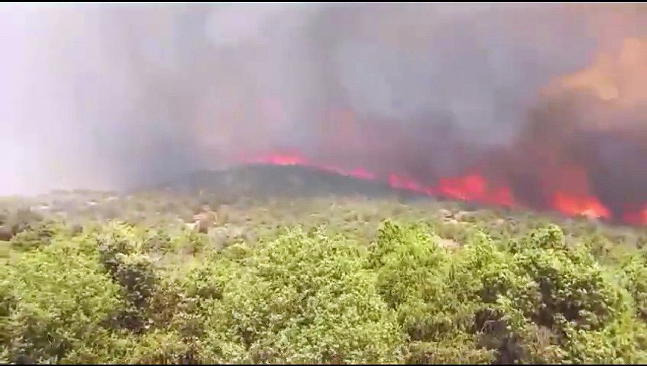 vídeo del incendio de Navaluenga