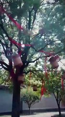 The Hidden Edge Of Grace - Full Episodes