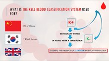 What is the Kell blood classification system used for?