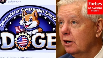 'I Don't Know How DOGE Found It And We Didn't': Lindsey Graham Defends Funding Cuts Amid Rescissions