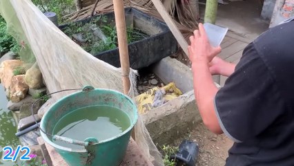 Every Home Needs This, But No One Does It! An Invention That Shocked the World