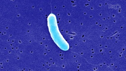 4 Dead, 7 Sickened by Flesh-Eating Bacteria in Florida