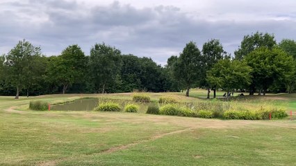 Forest Hills Golf Club landscape view