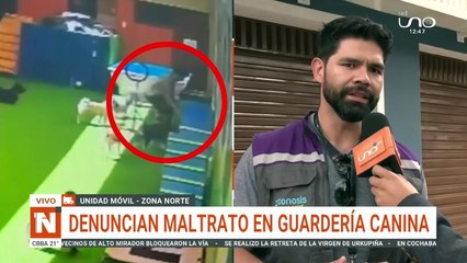 Guardería Canina en la mira después de un presunto caso de maltrato a un can