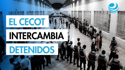 El Salvador Intercambiará Venezolanos por Estadounidenses en Venezuela 🇻🇪🤝