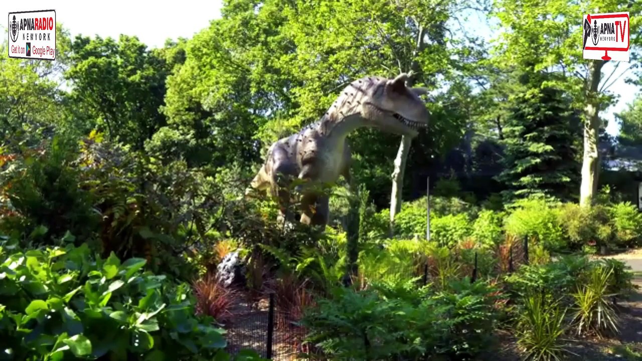 Explore the MAGIC of New York City! Apna Tv New York 20-07-2025