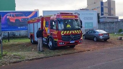 Bombeiros quebram churrasqueira de apartamento para resgatar gato no Centro