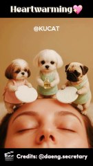 Tiny Puppies That Will Melt Your Heart 🐾💗 | Credit: @daeng.secretary #cute #kitten #aivideo #cartoon