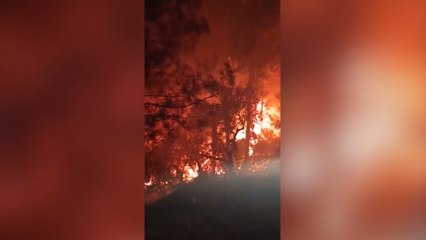 El incendio de Valdecaballeros obliga a evacuar a 440 personas de un camping y de Cíjara