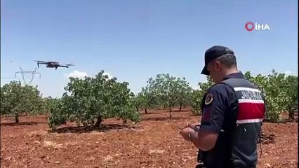 Komando timlerinin ''yeşil altın'' nöbeti başladı!