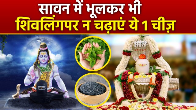 Sawan 2025: सावन में शिवलिंग पर क्या नहीं चढ़ाना चाहिए | Sawan Me Shivling Per Kya Nahi Chadhayen