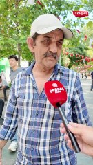 Valilik kararını verdi, Kocaeli halkı ikiye bölündü! "Sokak köpekleri toplanmalı mı?"