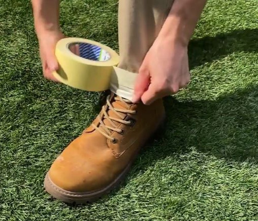 Insect-Proof Legs? Try This Simple DIY Hack!