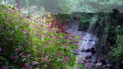 8 Jesús, la misericordia y el Sábado / ¿Sábado o Domingo? Una historia del cambio del día sagrado