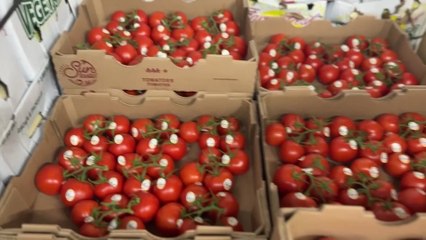 Trump tomato tariff 'not realistic,' NYC distributor says