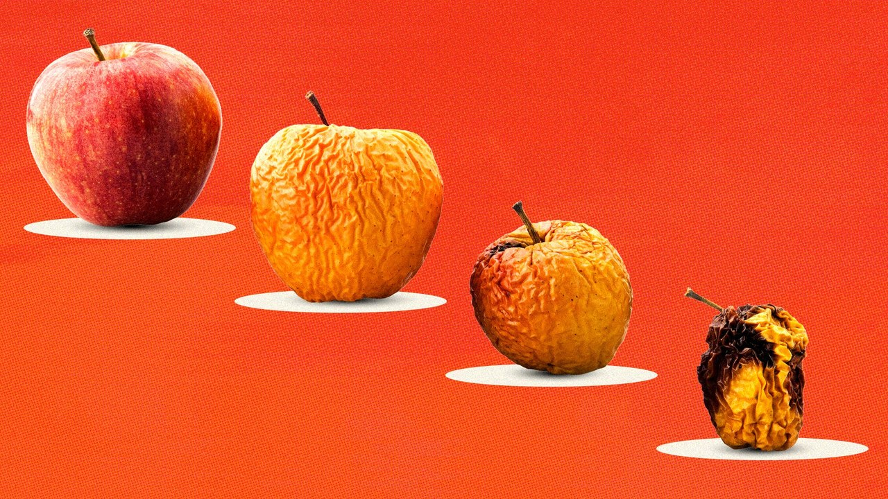 What Happens in Your Body As You Age?