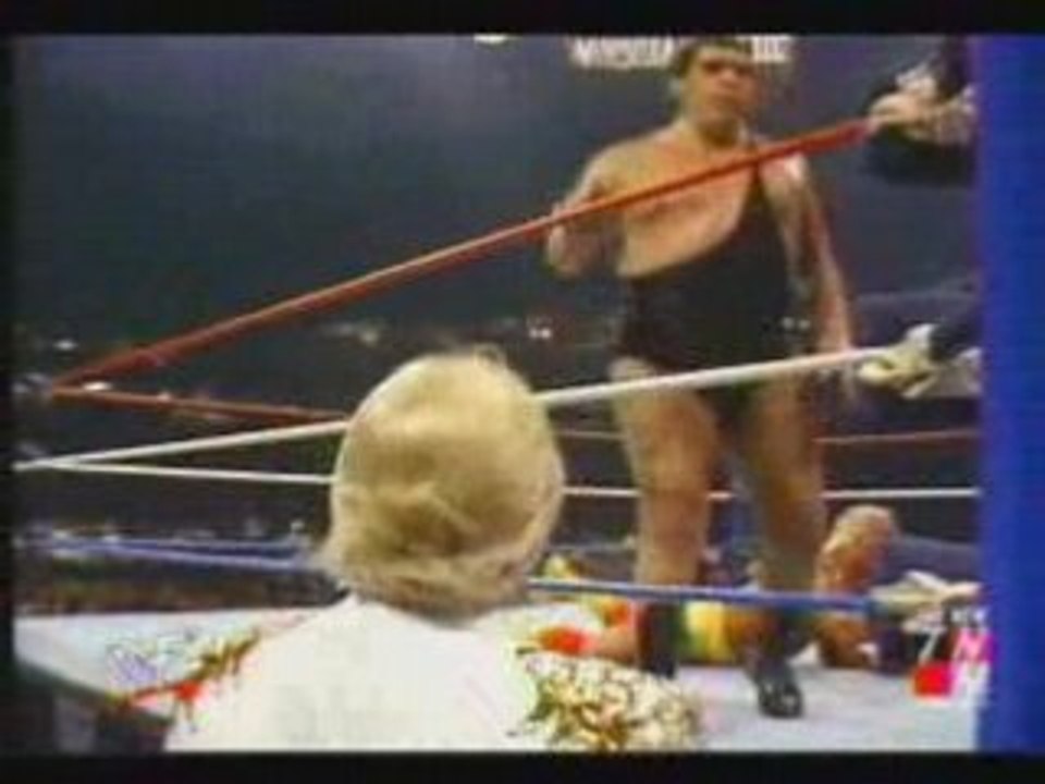 Wrestlemania III  Hulk Hogan vs Andre The Giant