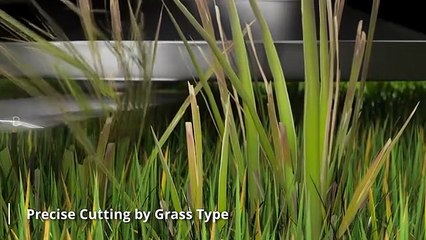 Anyonebot M1 – The Ultimate AI-Powered Smart Mower for Effortless Lawn Care 🌿🤖