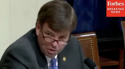 In a House Homeland Security Committee hearing on Wednesday, Rep. Dale Strong (R-AL) asked experts about NGOs.