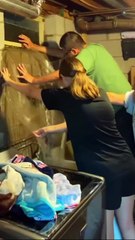 This Is How Texas Floods Destroy Animal Lives