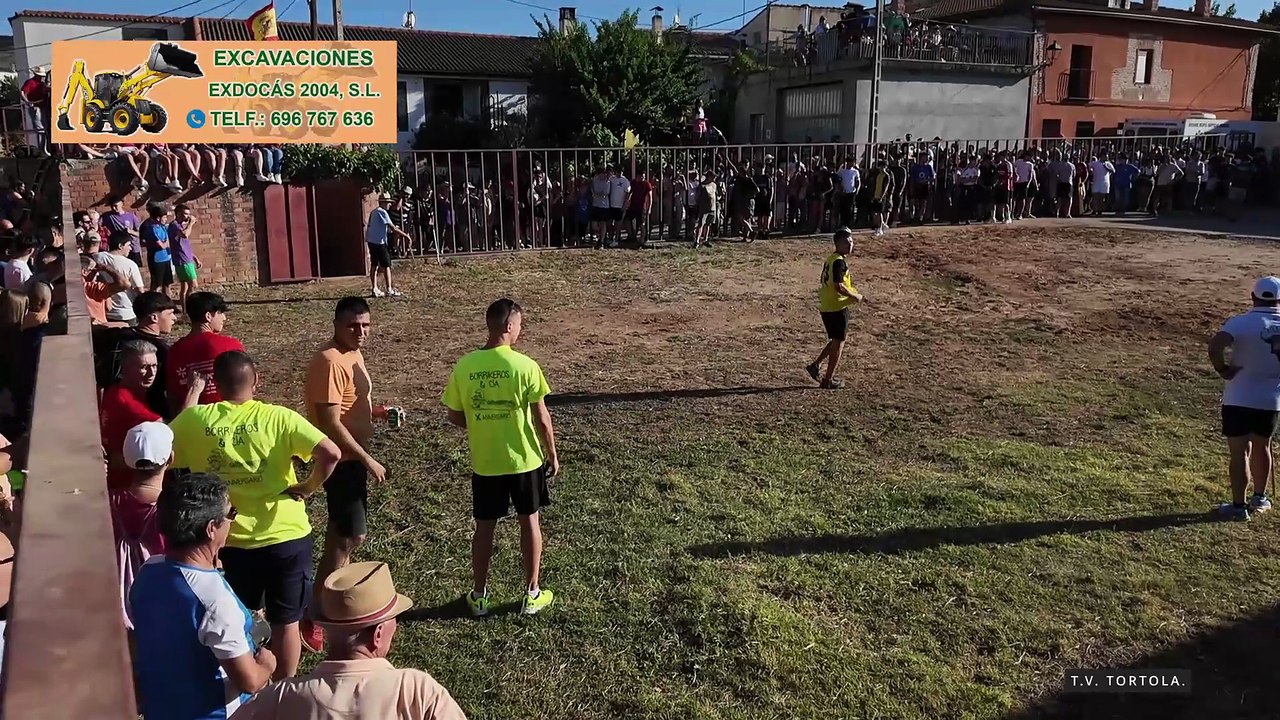 SUELTA DE RESES CAÑIZAR 18-07-2025