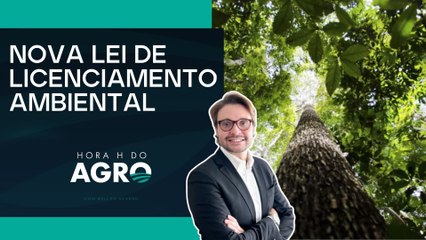 PL de licenciamento ambiental aprovado na Câmara segue para sanção de Lula | HORA H DO AGRO