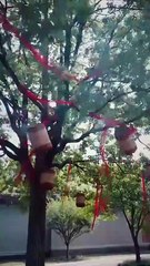 The Hidden Edge Of Grace