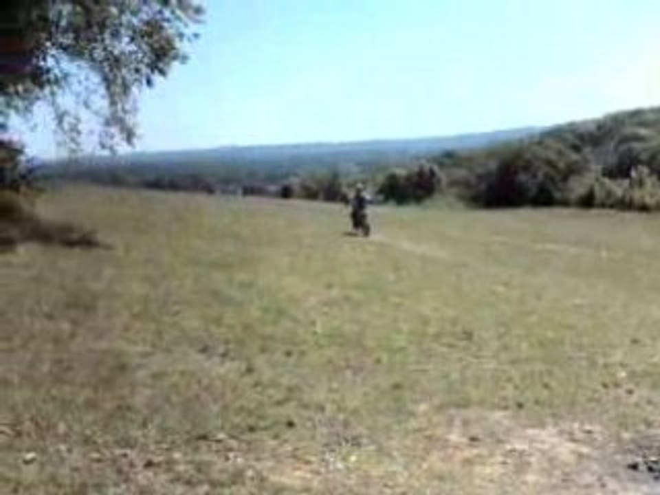 Beta ProRace 50cc