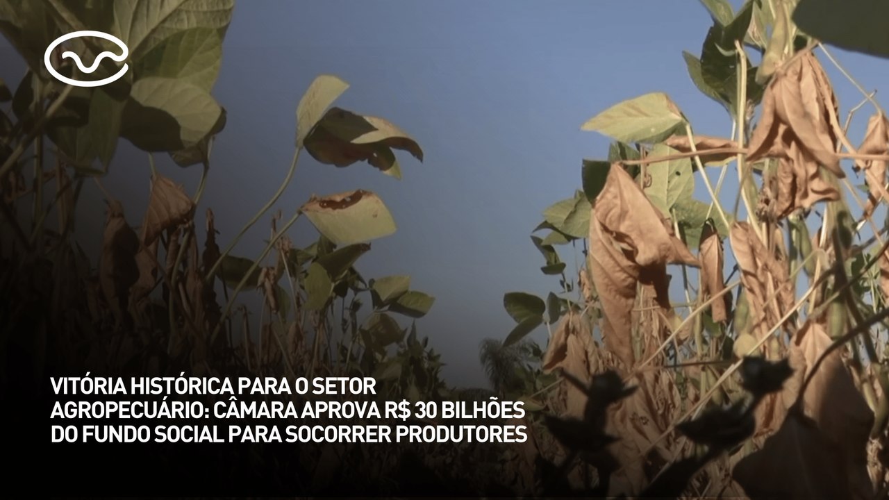 Vitória histórica: Câmara aprova R$30 bilhões do fundo social para socorrer produtores