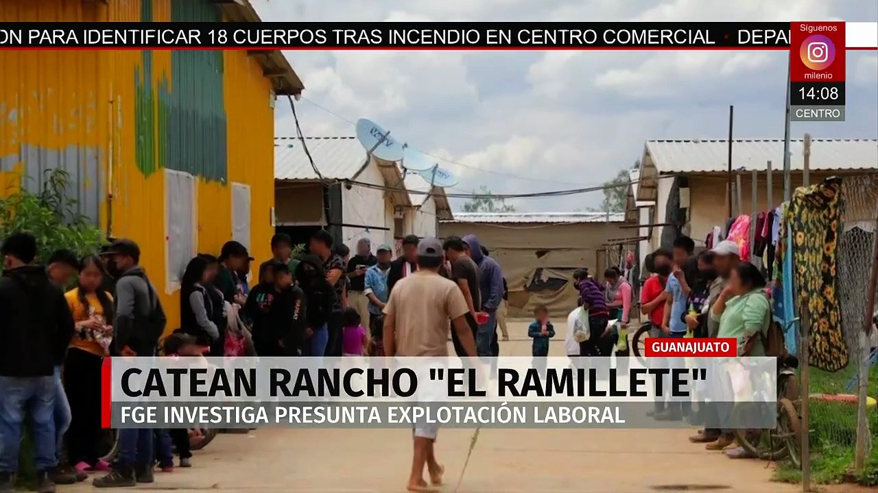 Catean rancho 'El Ramillete' en Guanajuato por presunta trata con fines laborales