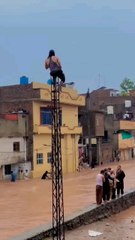 #viralvideo, #horseviralvideo, #patnaviralvideo, #viralvideos🔥|, #animalviralvideo, #chachaviralvideo, #viralchachavideo, #viralvideosinhindi, #chachasajidviralvideo, #funniestviralvideos, #videoviralcoldplay, #funniestviralvideos2025