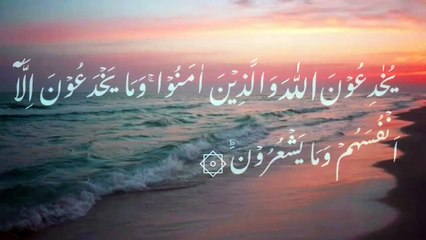 Surah - Al Baqarah Ayat no.9 With Urdu Translation